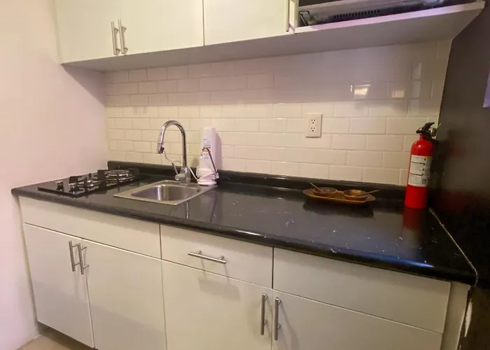 Cozy Flat Condesa Apartment *