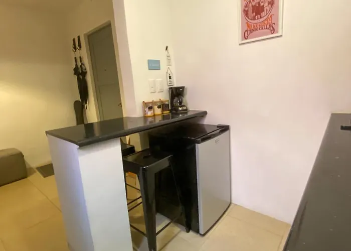 Cozy Flat Condesa Apartment